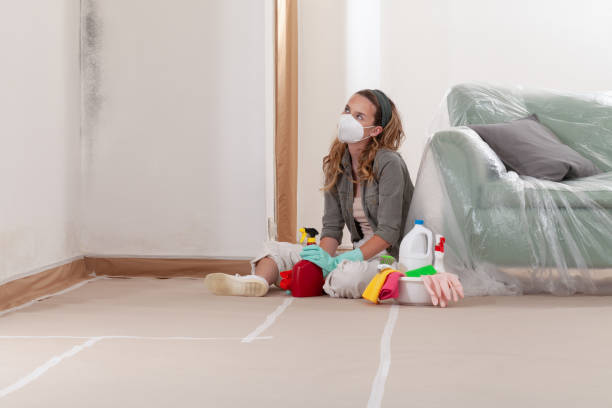 Reliable Mold Remediation contractor in Lorton, VA by Mold Remediation HQ